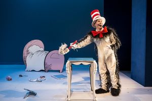 Cat in the Hat, Dean Holt @ BroadwayWorld Cat in the Hat, Dean Holt Photo