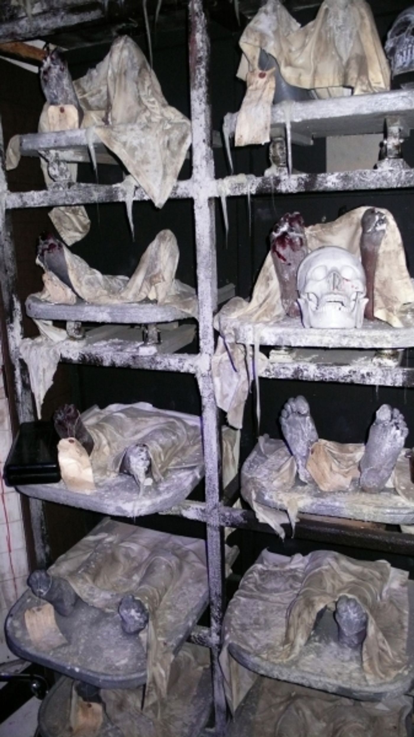 Photo Coverage: Inside the 'Blood Manor' Press Preview  Image