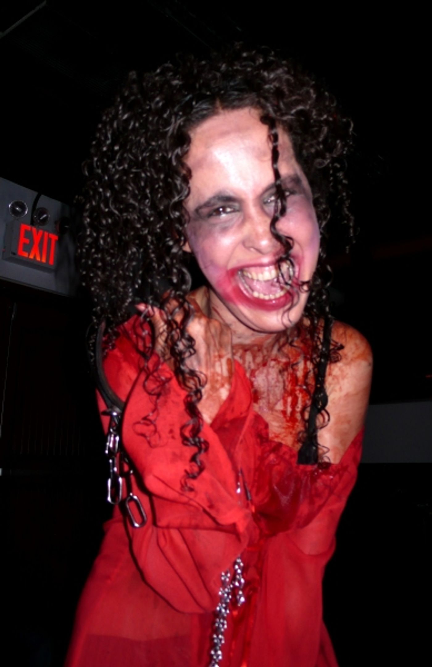 Photo Coverage: Inside the 'Blood Manor' Press Preview  Image
