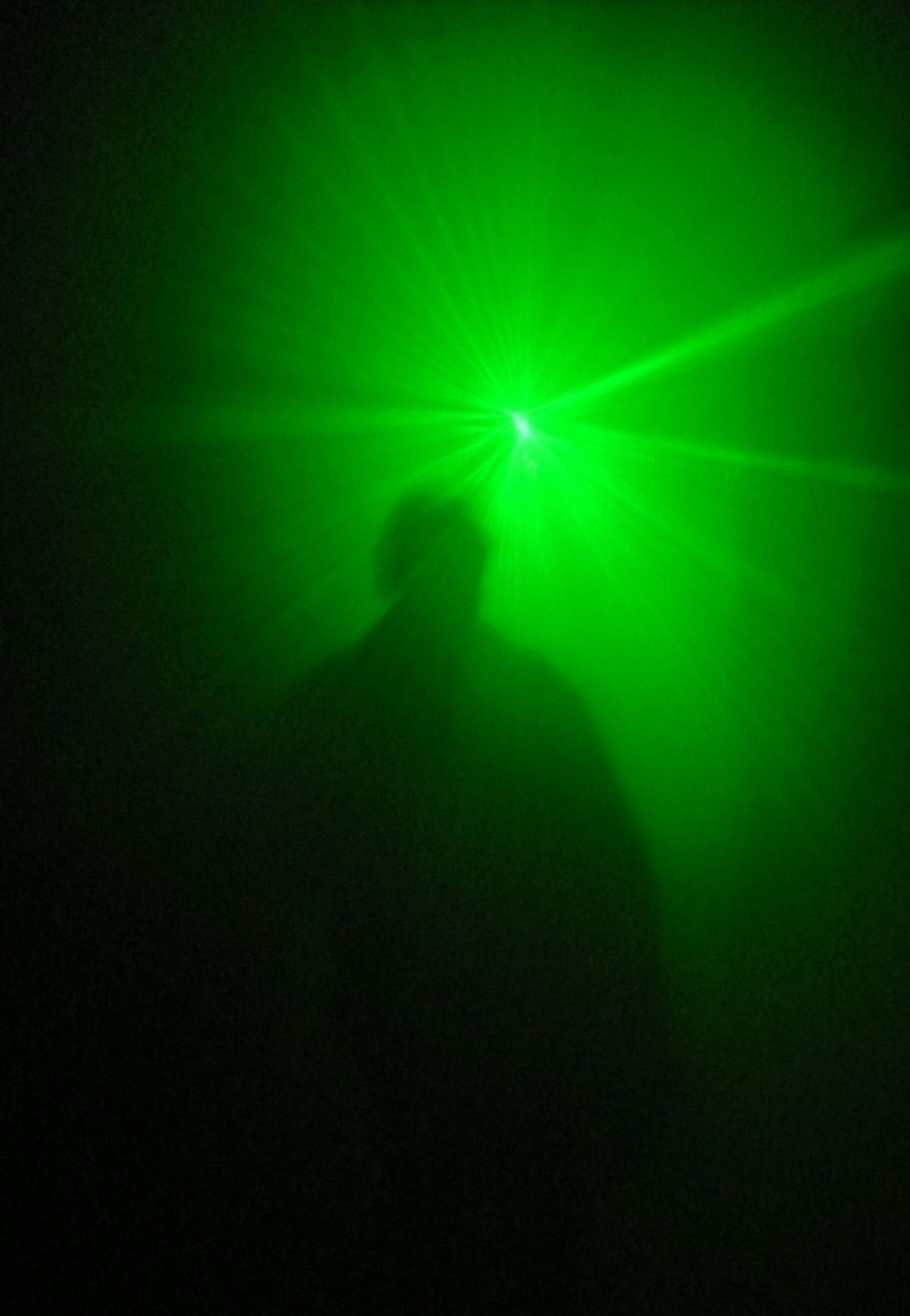 Photo Coverage: Inside the 'Blood Manor' Press Preview  Image