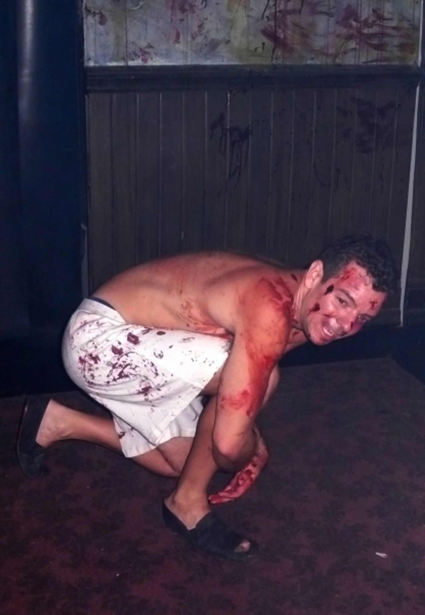 Photo Coverage: Inside the 'Blood Manor' Press Preview  Image