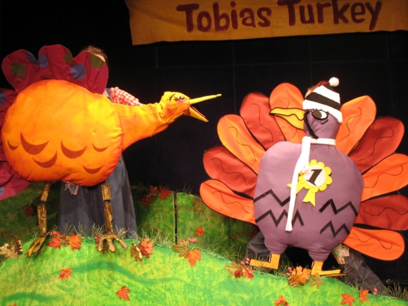 Photo Flash: First Look at Shadow Box Theatre's TOBIAS TURKEY  Image