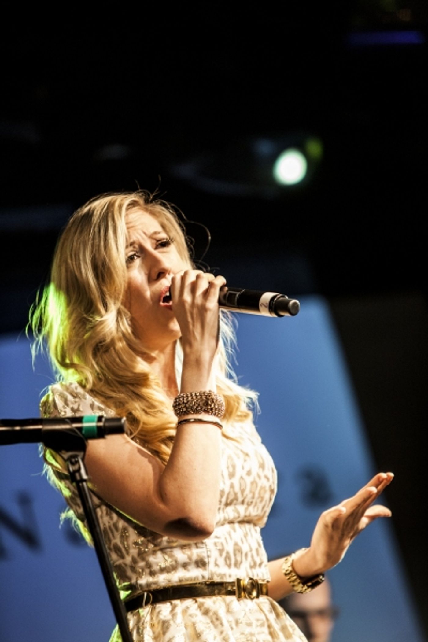 Photo Coverage: Rory O'Malley,  Eric Michael Krop and More Perform in 'When Love Takes Over' Benefit  Image