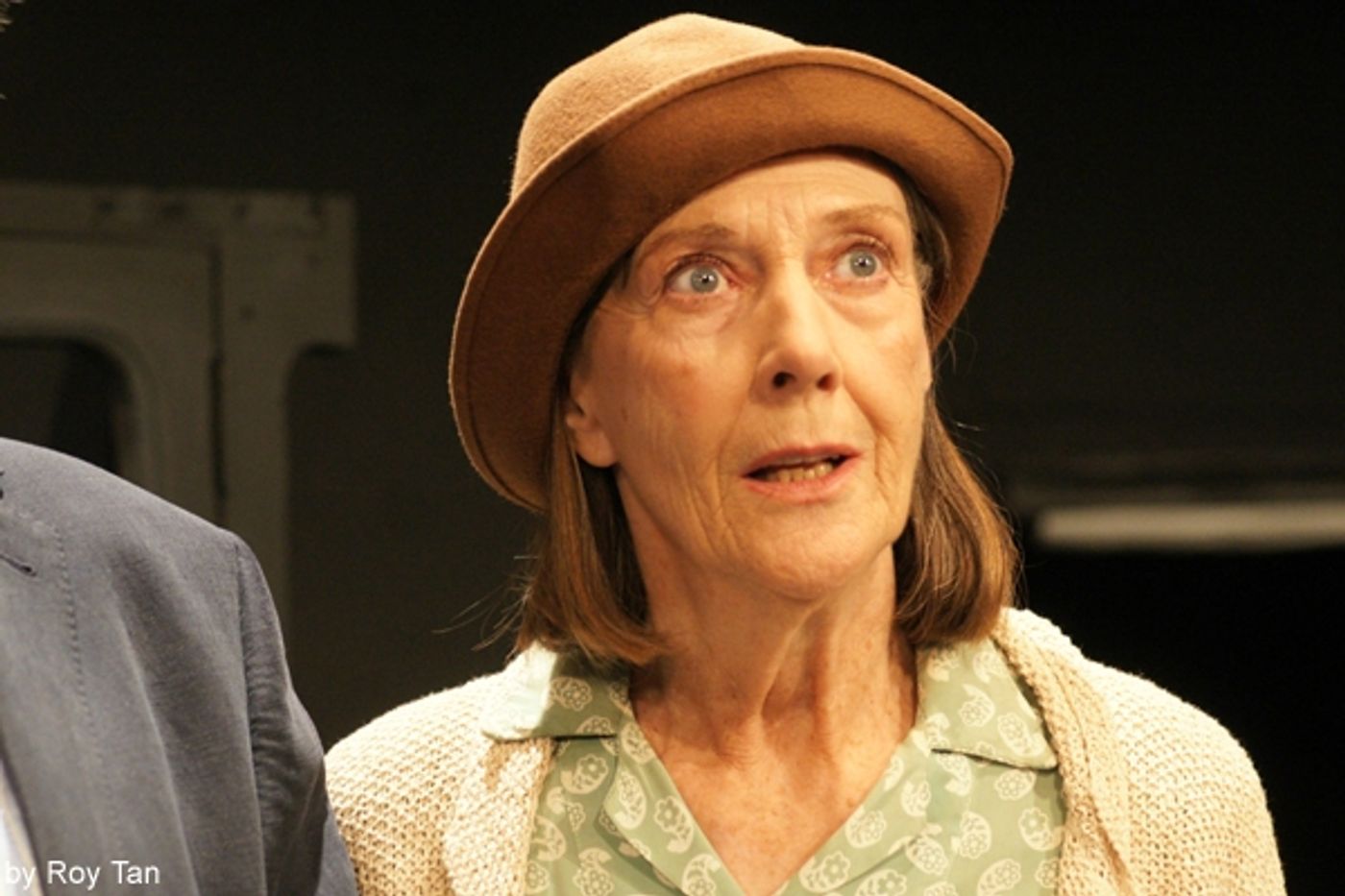 Photo Flash: Michael Gambon and Eileen Atkins Star in Trevor Nunn's ALL THAT FALL at Jermyn Street Theatre  Image