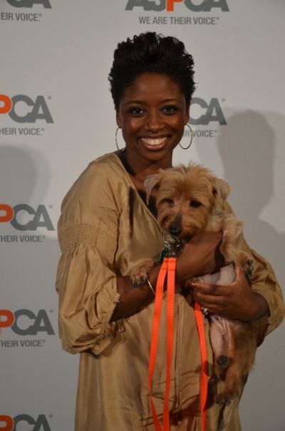 Montego Glover Photo