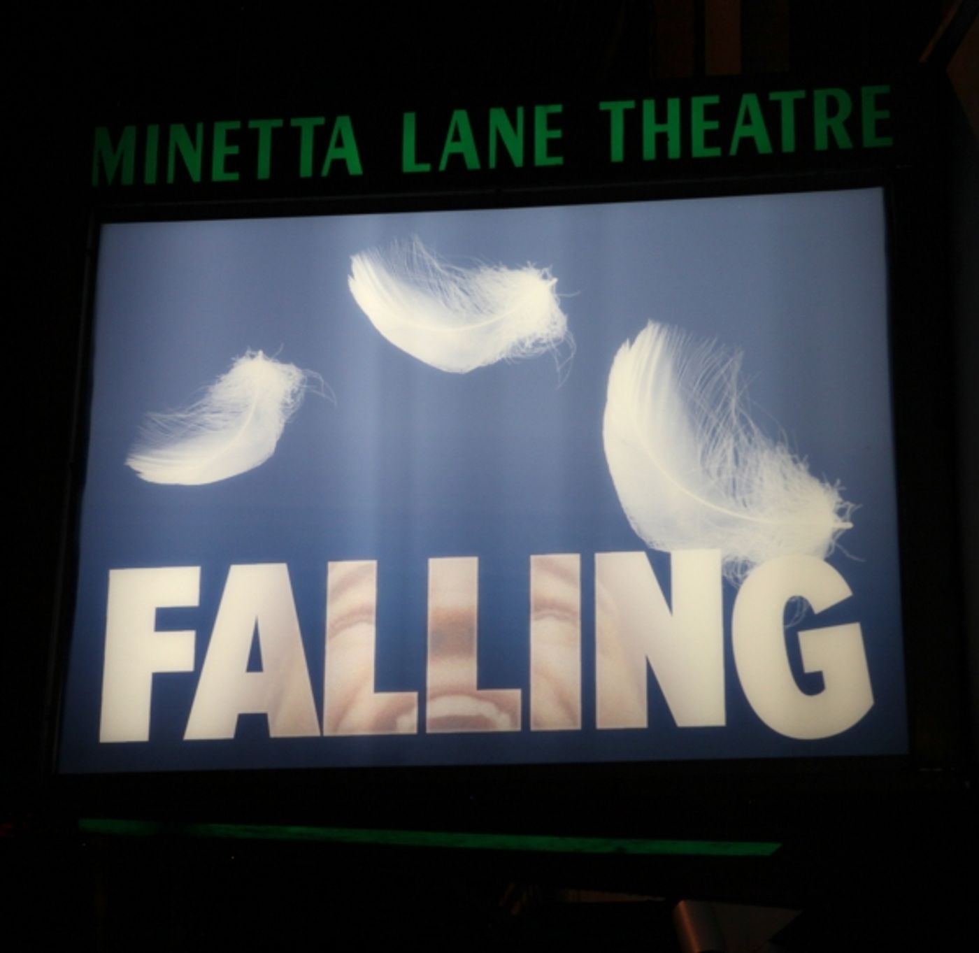 Photo Coverage: Inside FALLING's  Opening Night Curtain Call  Image