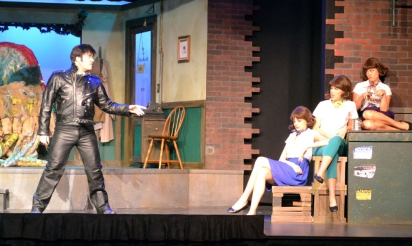 Photo Flash: First Look at Josh Rhett Noble, Alicia Tomasko and More in StarStruck's LITTLE SHOP OF HORRORS  Image