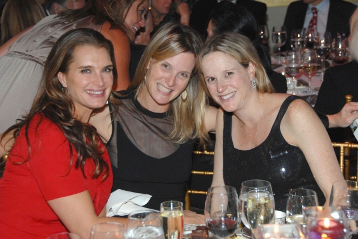 Photo Flash: Nina Arianda, Bobby Cannavale and More Attend 2012 Skin Cancer Foundation Gala  Image