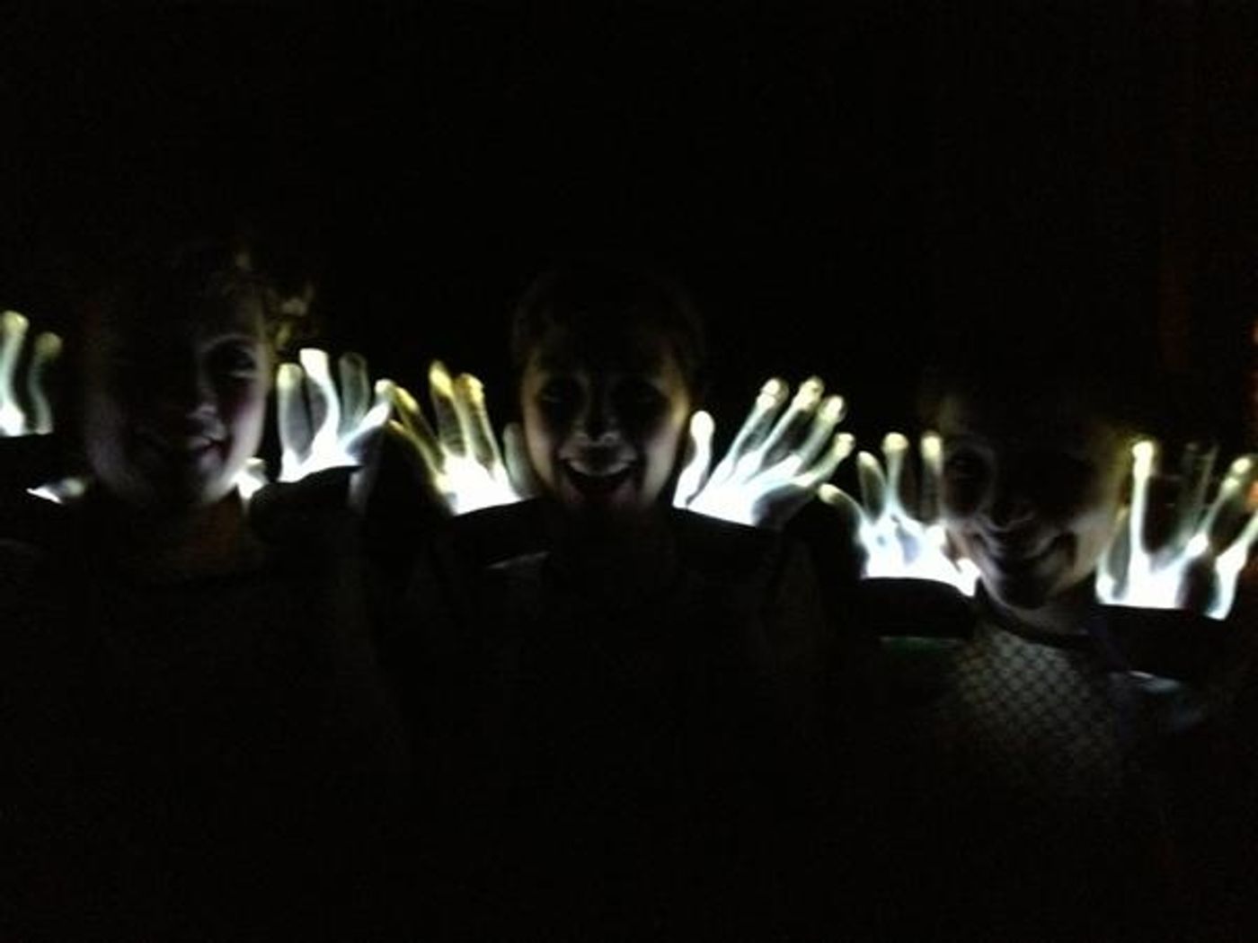 Photo Flash: Saturday Intermission Pics, Oct 20 - Part 2 - EVITA 'SkeleTONES', BOOK OF MORMON Playdates & More!  Image