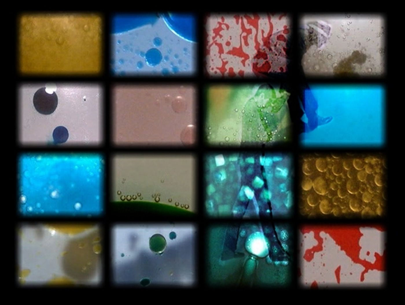 Photo Flash: First Look at Cave Dogs' SURE-MINDED UNCERTAINTIES, Coming to New Orleans Fringe  Image