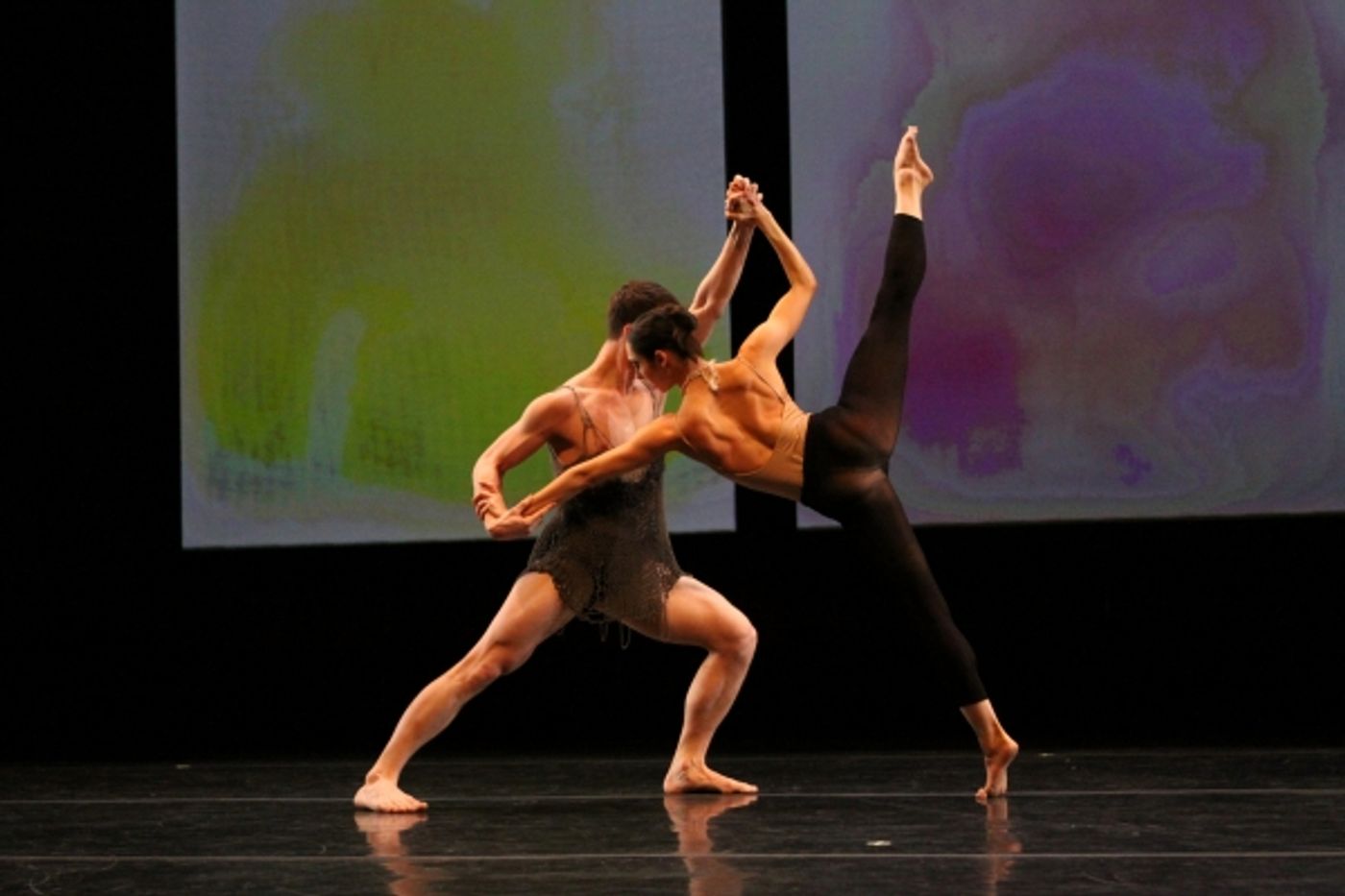 Photo Flash: Stephen Petronio Company's THE ARCHITECTURE OF LOSS and UNDERLAND at Irvine Barclay Theatre  Image