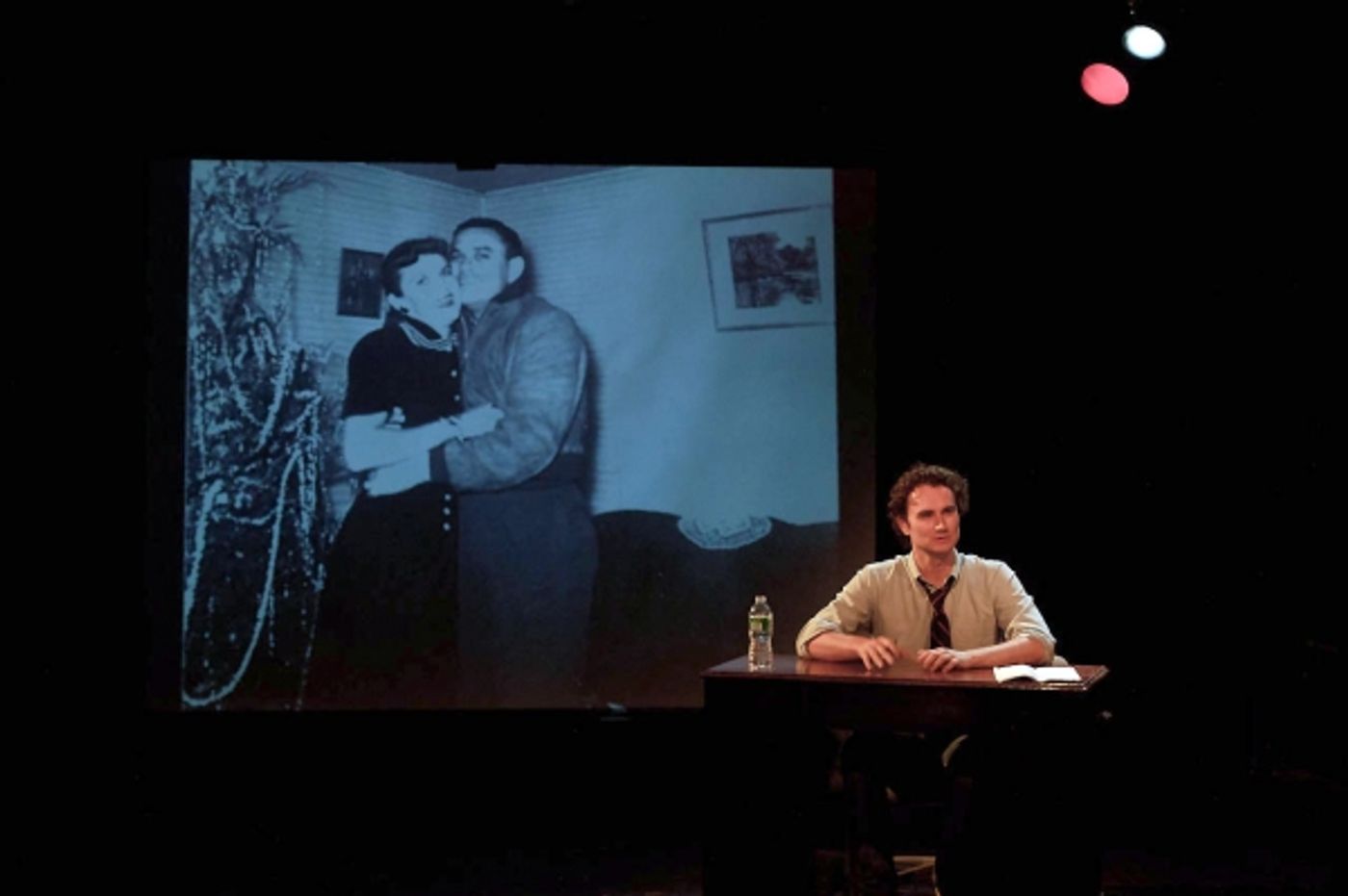 Photo Flash: First Look at David Lee Nelson in THE ELEPHANT IN MY CLOSET at Kraine Theatre  Image