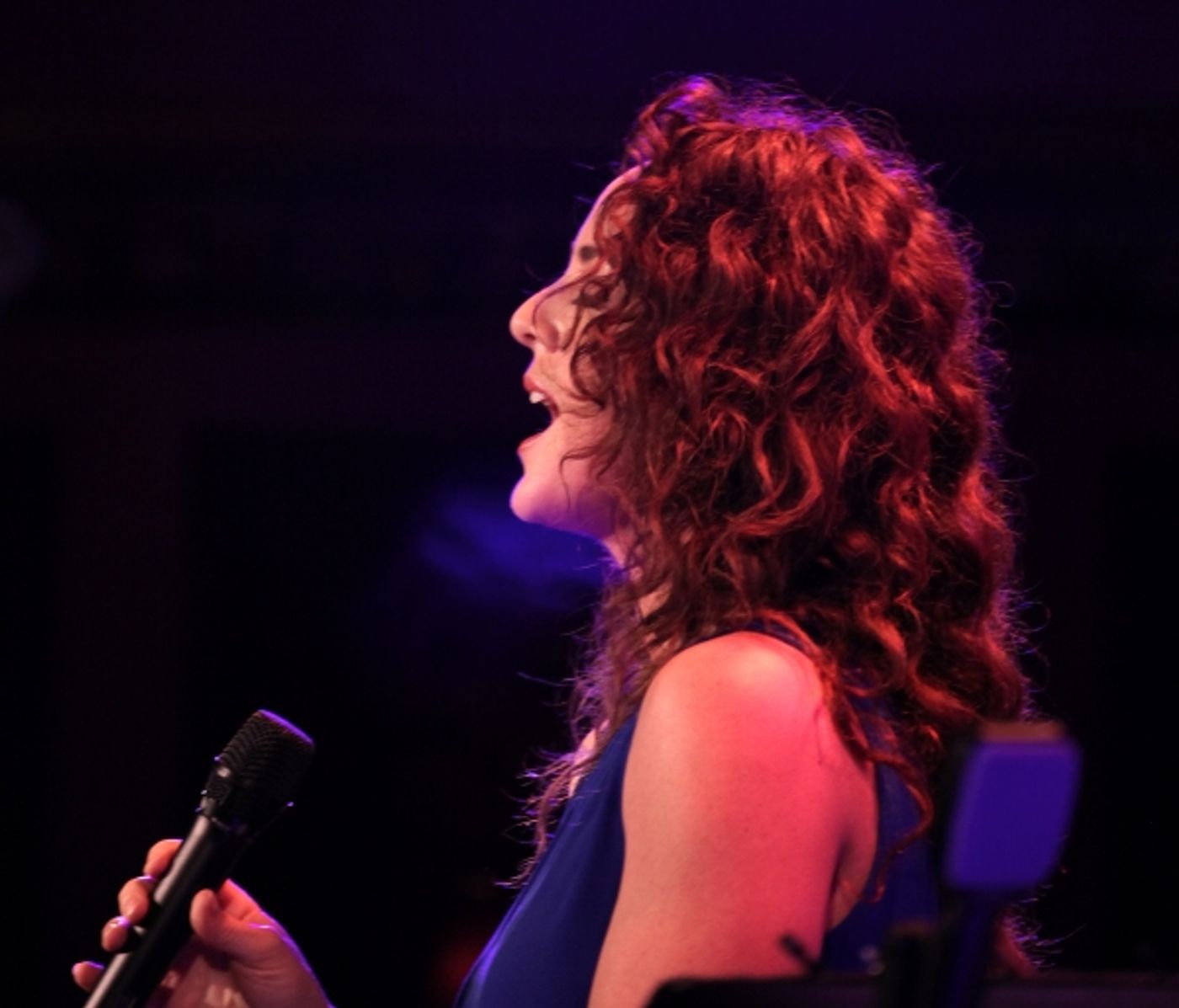 Photo Coverage: Melissa Errico Previews  54 Below Show!  Image