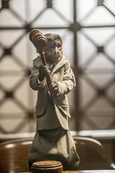 Photo Flash: ANIMAL PRACTICE's 'Wingmen,' to Air 10/31  Image