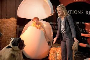 Amy Poehler @ BroadwayWorld Amy Poehler Photo