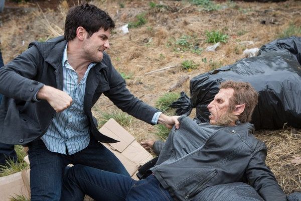 David Giuntoli Photo