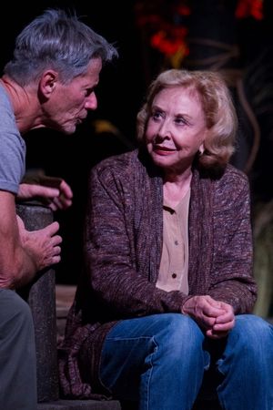 Peter Strauss and Michael Learned Photo