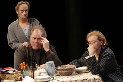 Laila Robins, Jay O. Sanders, and J. Smith-Cameron in Sorry, written and directed by  Photo