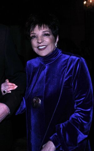Liza Minnelli @ BroadwayWorld Liza Minnelli Photo