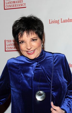 Liza Minnelli @ BroadwayWorld Liza Minnelli Photo