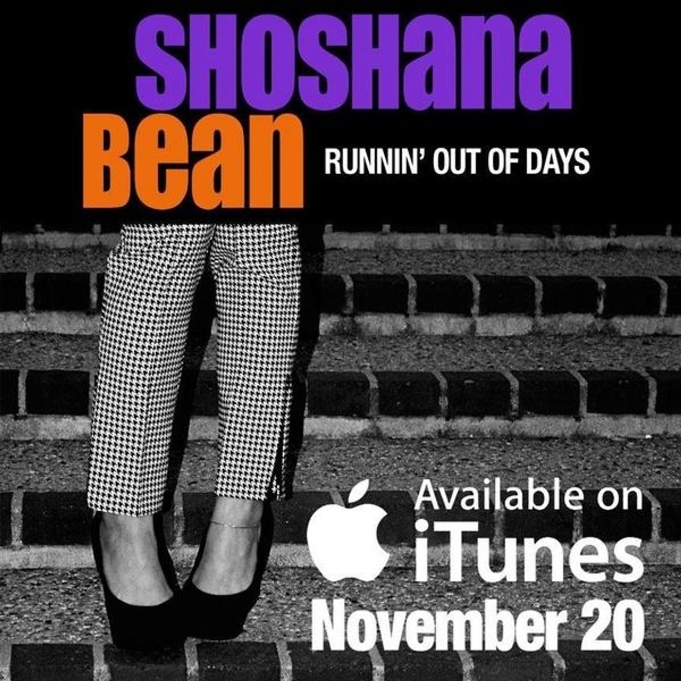 Photo Flash: Shoshana Bean to Release 'Runnin' Out of Days' Single on iTunes, Nov 20!  Image