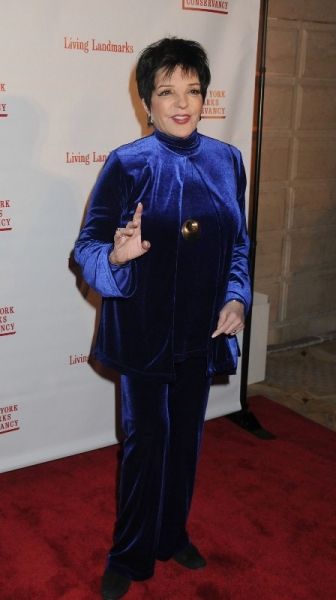 Photo Flash: Liza Minnelli, The Nederlanders and More at 'Living Landmarks' Fall 2012 Gala — photo 9 of 17