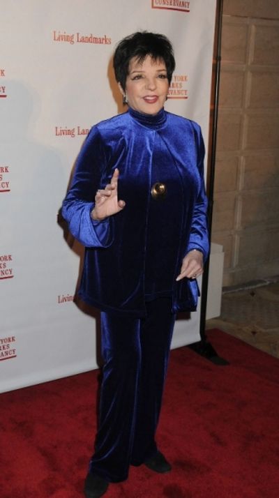 Liza Minnelli Photo