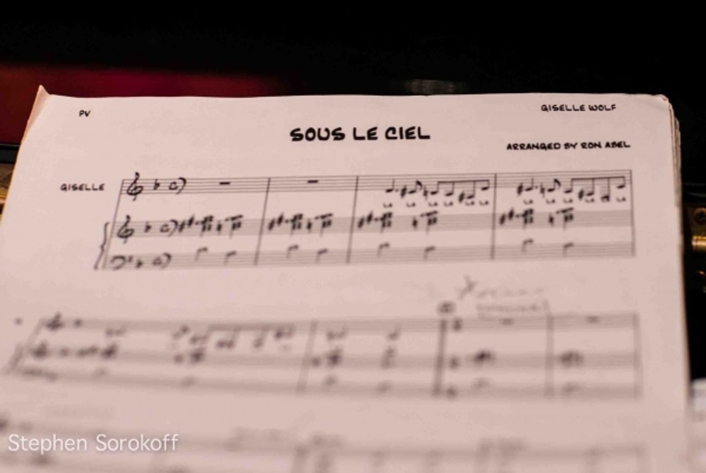 Photo Coverage: Giselle Wolf Brings JOURNEYS: A CELEBRATION to The Metropolitan Room  Image