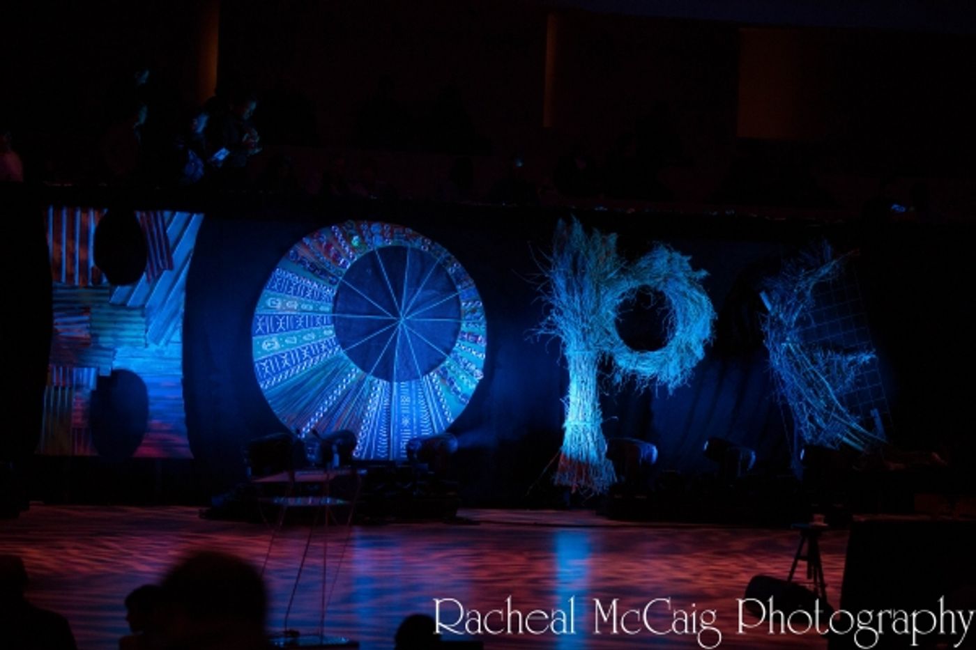 Photo Coverage: Annie Lennox, Sarah McLachlan and Angelique Kidjo at HOPE RISING  Image