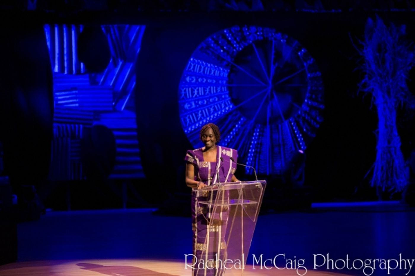 Photo Coverage: Annie Lennox, Sarah McLachlan and Angelique Kidjo at HOPE RISING  Image