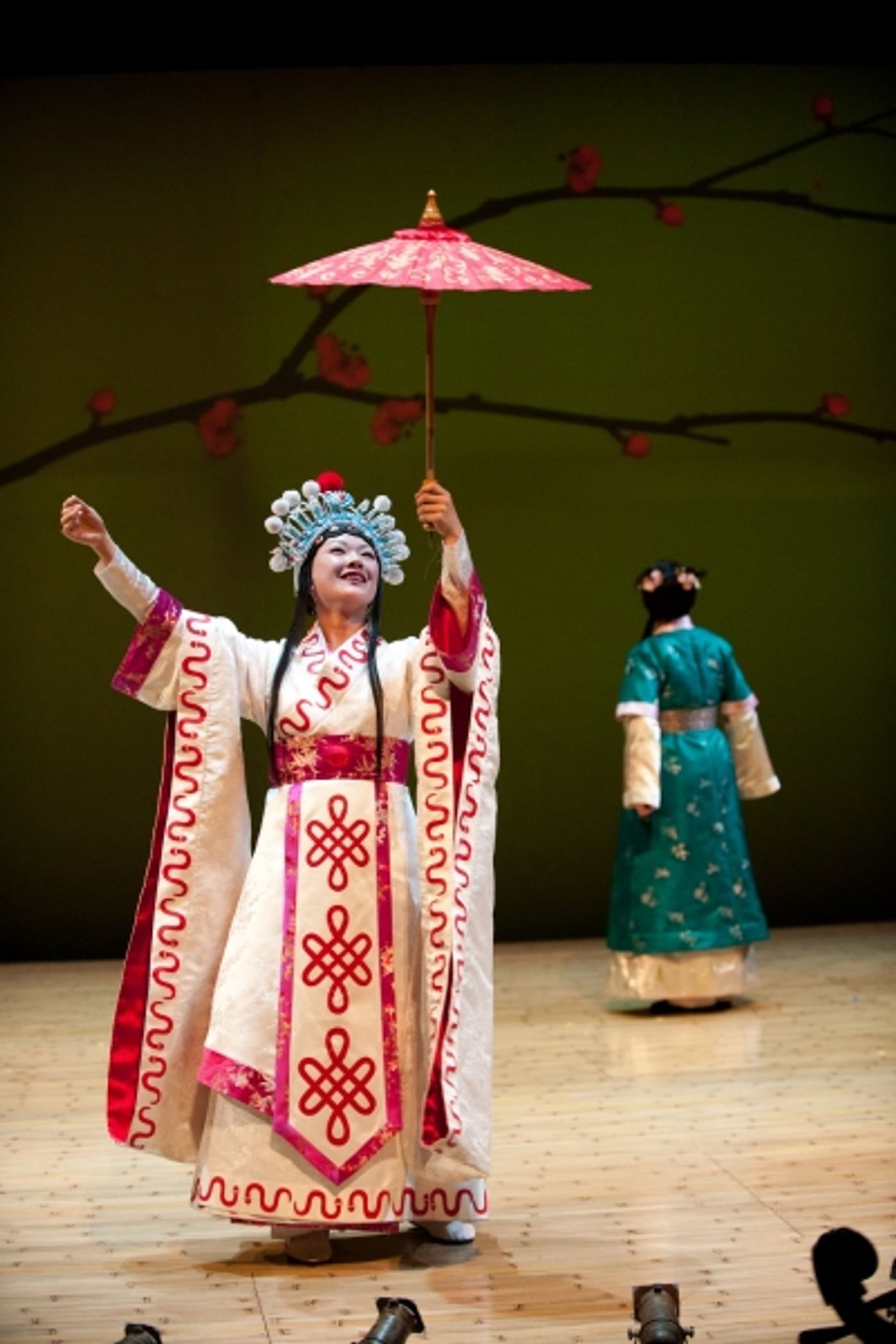 Photo Flash: First Look at Berkeley Rep's THE WHITE SNAKE, Directed by Mary Zimmerman  Image