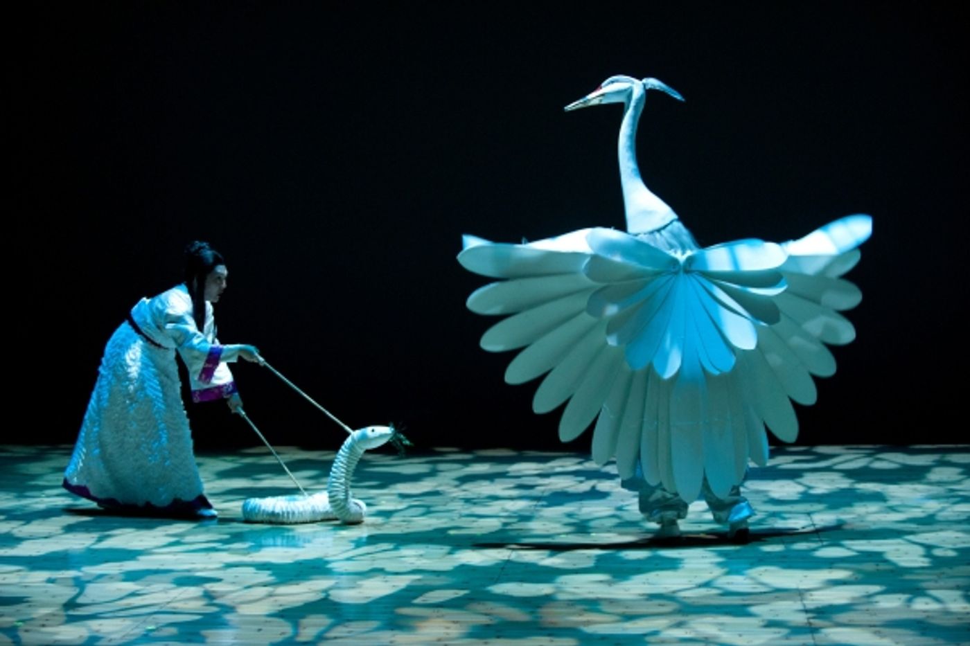 Photo Flash: First Look at Berkeley Rep's THE WHITE SNAKE, Directed by Mary Zimmerman  Image