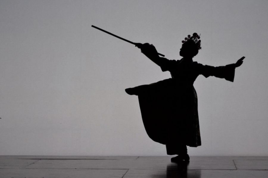 Photo Flash: First Look at Berkeley Rep's THE WHITE SNAKE, Directed by Mary Zimmerman Image