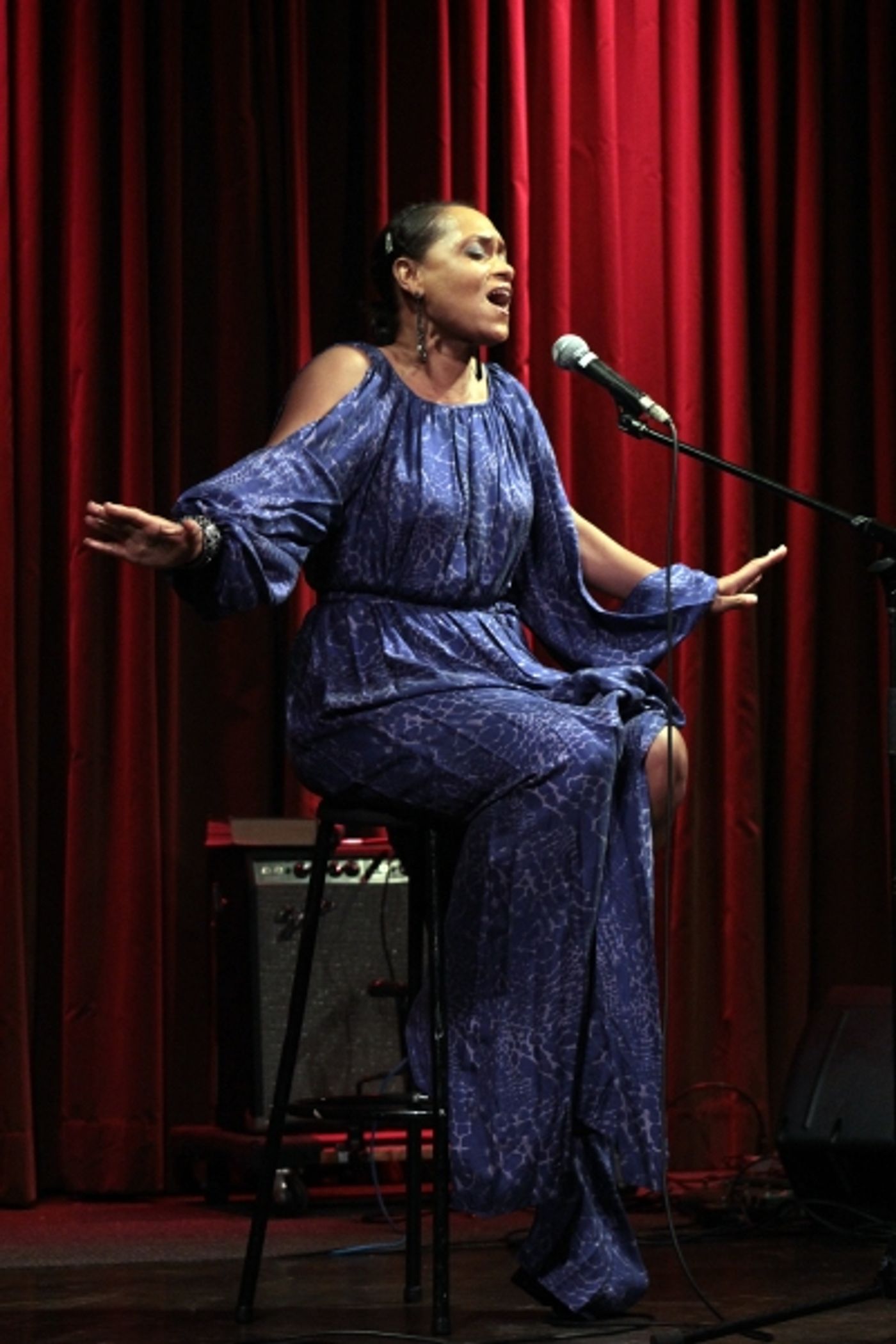 Photo Coverage: Cheyenne Jackson, Jonathan Groff and More Honor Julie Taymor at SRT Gala  Image