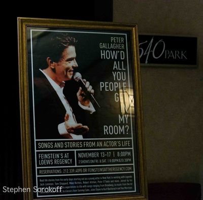 Peter Gallagher Photo