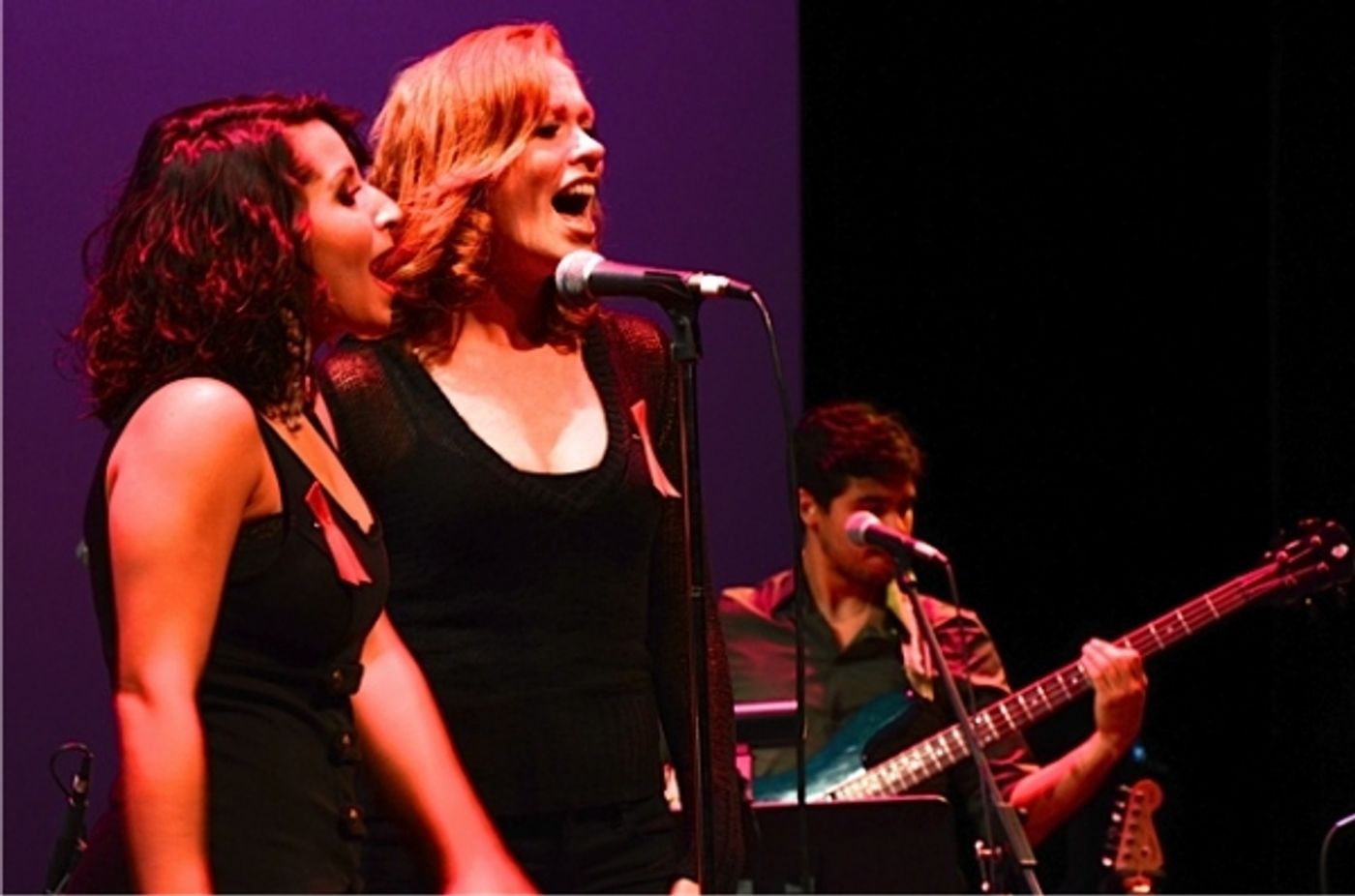 Photo Flash: JERSEY BOYS Tour Holds 'Rock Like a Man' Concert to Benefit BCEFA  Image