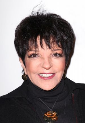 Liza Minnelli Photo