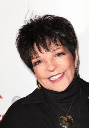 Liza Minnelli Photo