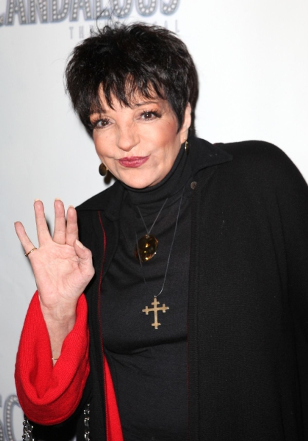 Liza Minnelli at 