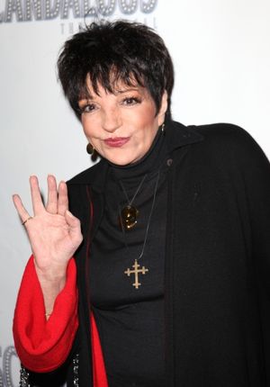 Liza Minnelli Photo