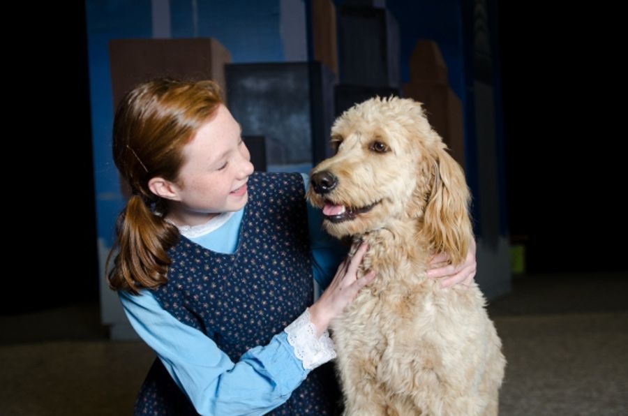 Photo Flash: DreamWrights Youth & Family Theatre Opens ANNIE Tonight  Image