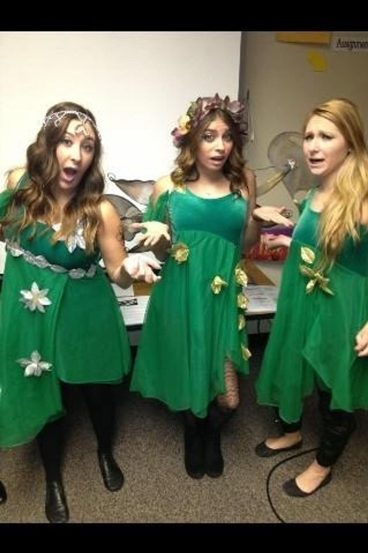 Photo Flash: Saturday Intermission Pics, Nov 17, Part 2 - EVITA Channels THE PERFORMERS, PHANTOM Does TWILIGHT & More!  Image