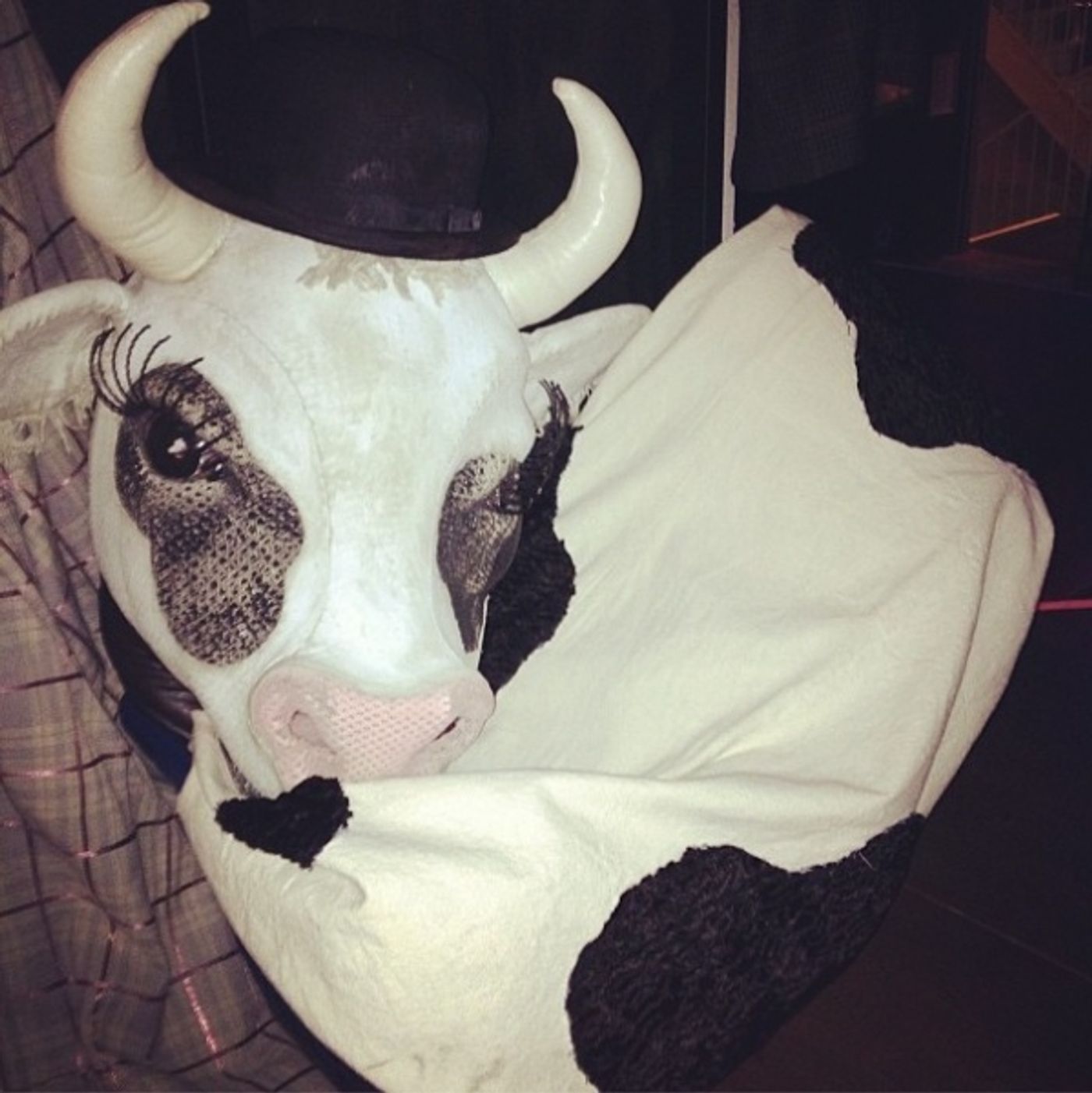 Photo Flash: Saturday Intermission Pics, Nov 17, Part 2 - EVITA Channels THE PERFORMERS, PHANTOM Does TWILIGHT & More!  Image