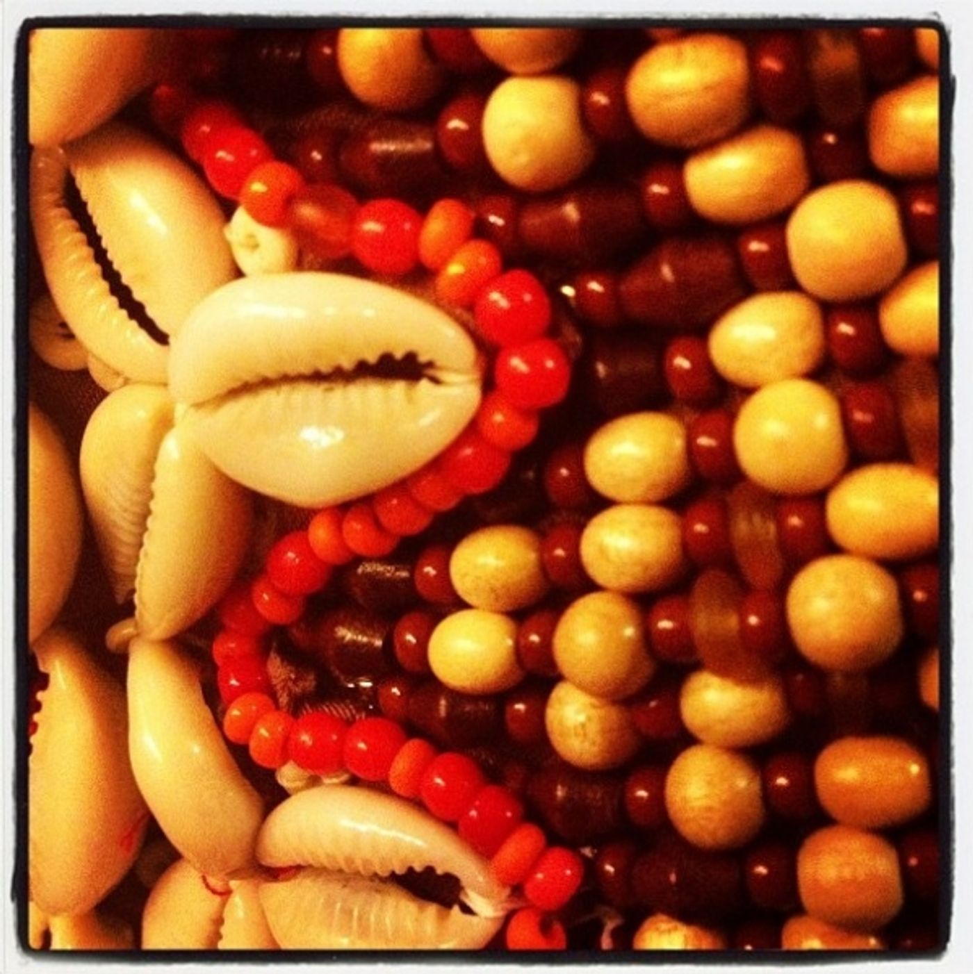 Photo Flash: Saturday Intermission Pics, Nov 17, Part 2 - EVITA Channels THE PERFORMERS, PHANTOM Does TWILIGHT & More!  Image