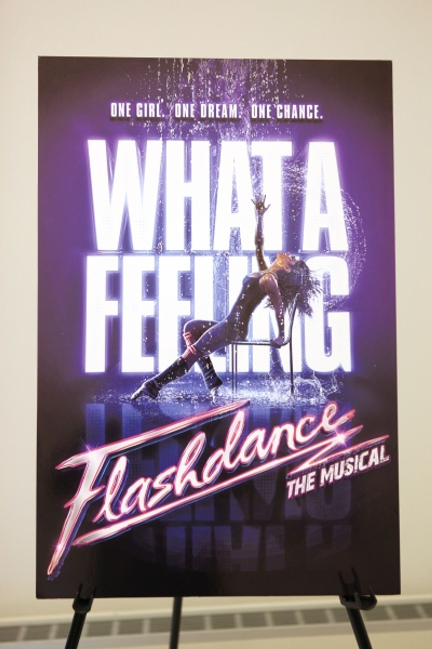 Photo Coverage: FLASHDANCE Cast Meets the Press!  Image