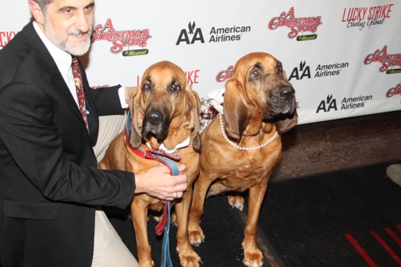 Photo Coverage: A CHRISTMAS STORY Opening Night Party! Image