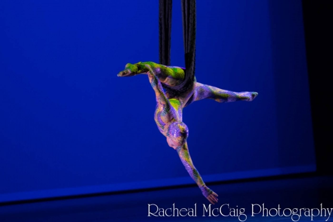 Photo Coverage: Eric McCormack, Nelly Furtado and More at It's Always Something!  Image