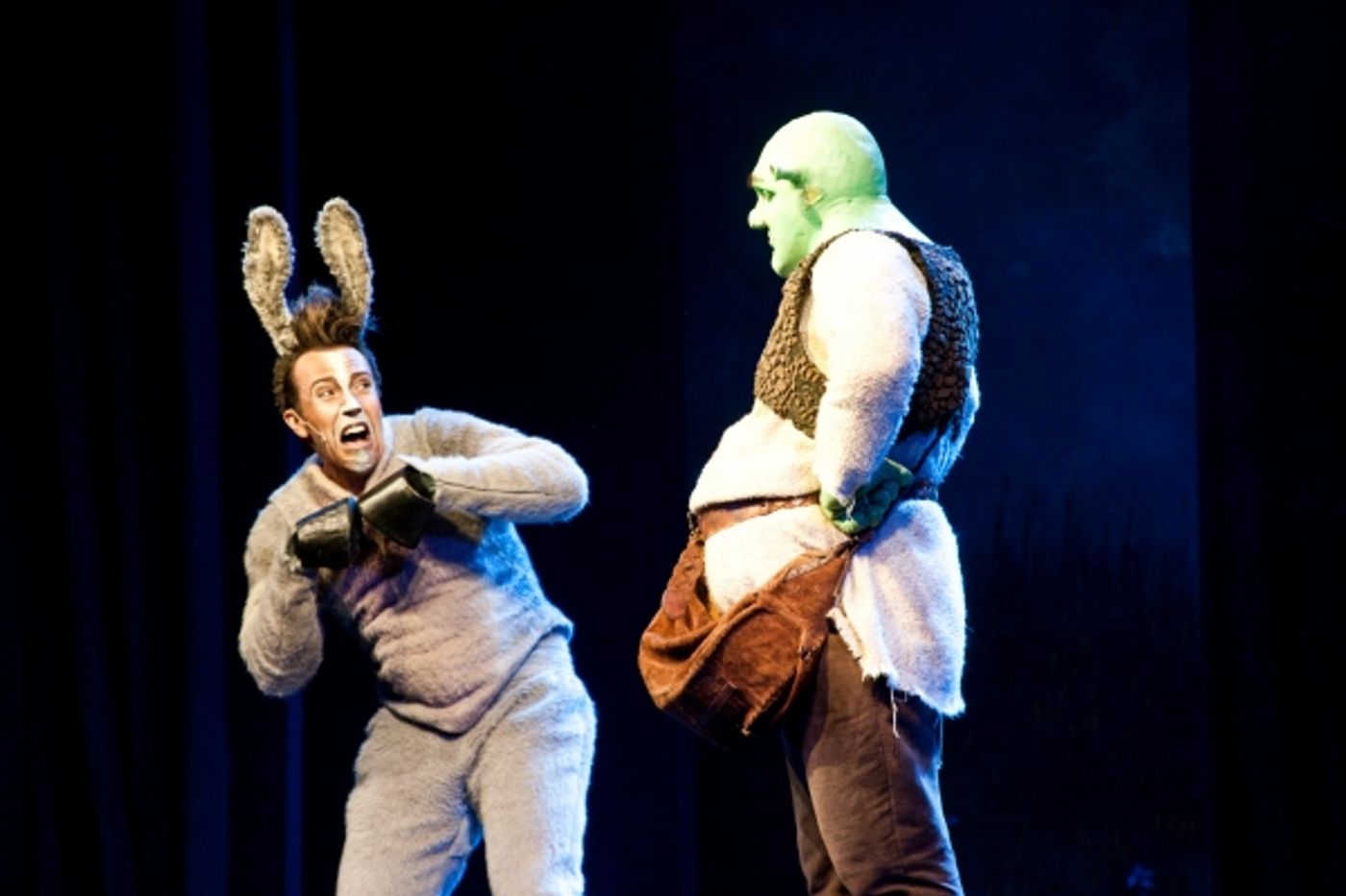 Photo Coverage: SHREK, il musical  Image