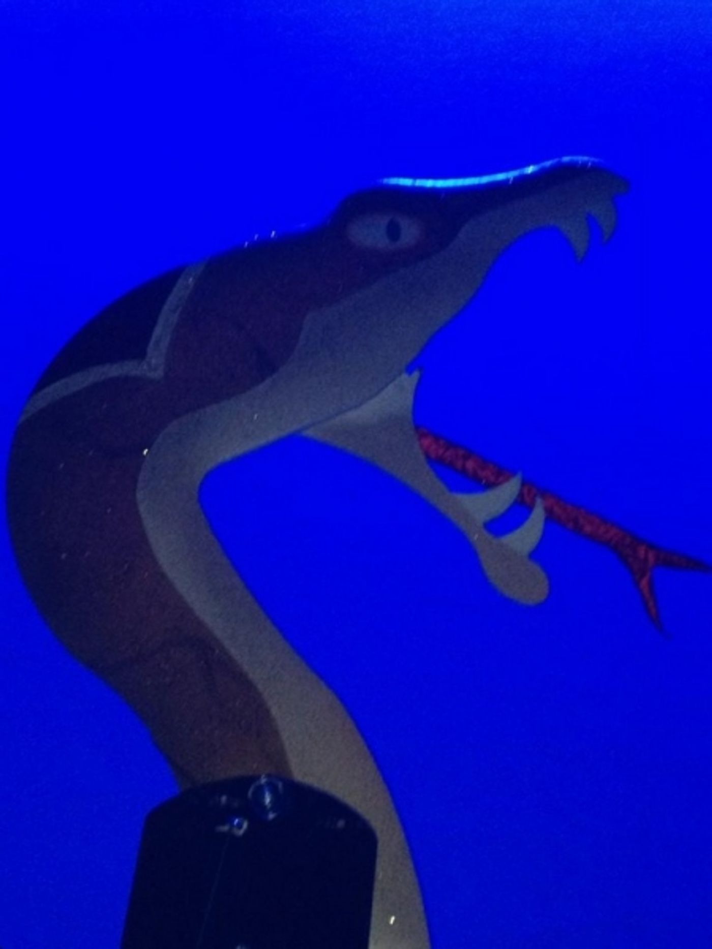 Photo Flash: Saturday Intermission Pics, Nov 24 - NEWSIES Does A CHRISTMAS STORY, Broadway Supports Injured Fan and More!  Image