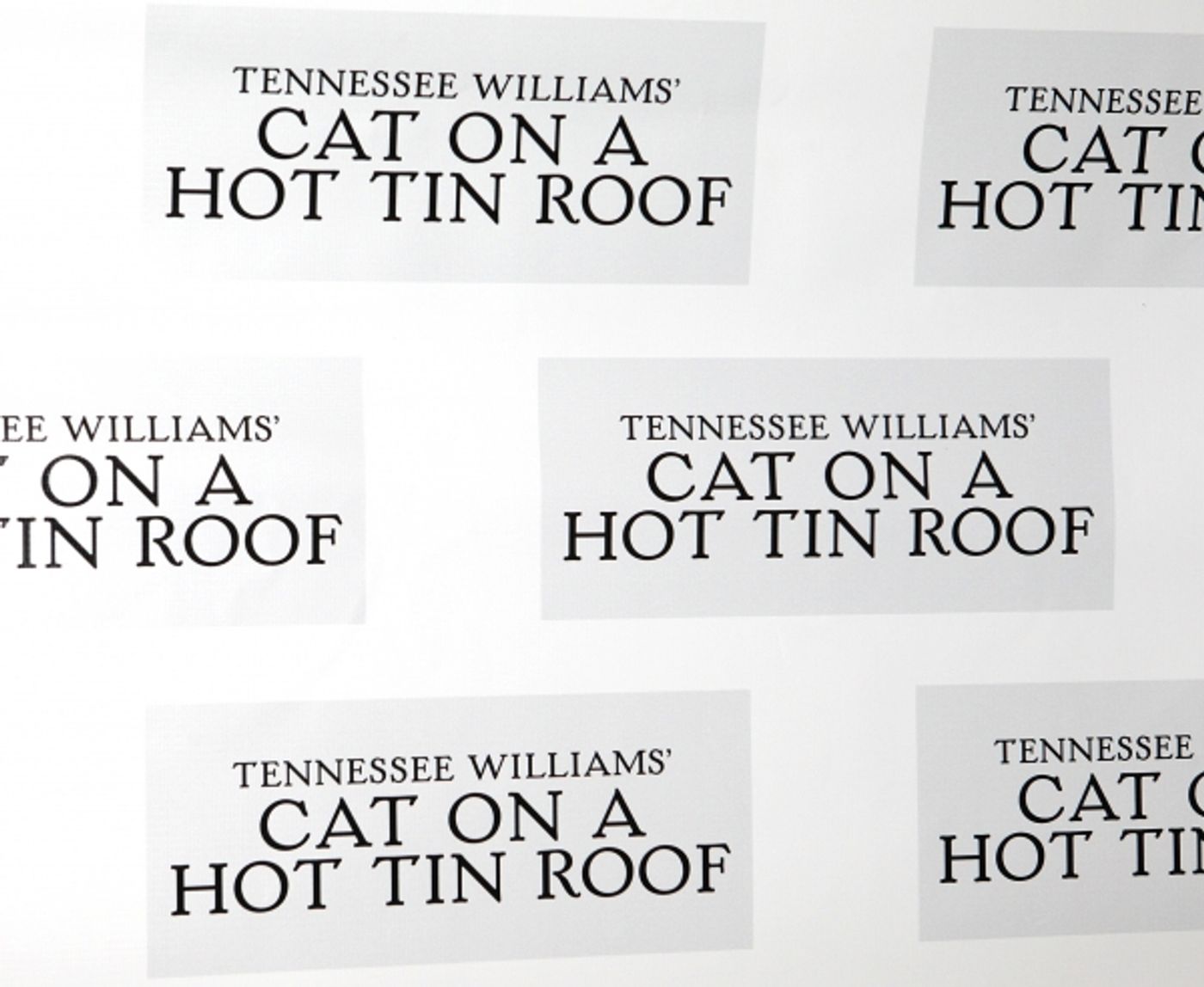 Photo Coverage: CAT ON A HOT TIN ROOF'S Benjamin Walker, Scarlett Johansson and More Meet the Press Image